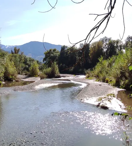 A serene river winds through a gravel bed, surrounded by lush greenery and mountains in the distance. Sunlight glimmers on the water's surface, with branches framing the top of the image.